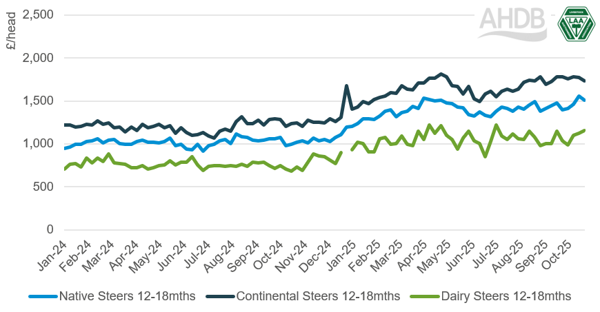 Weekly England & Wales average store steer prices 12-18 months